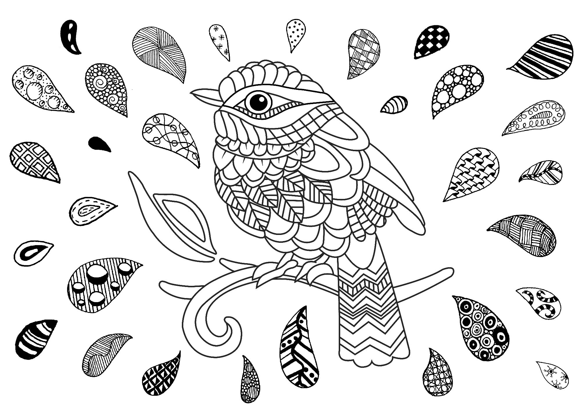 Coloriage Oiseau Et Goutes Zentangle - Oiseau à imprimer