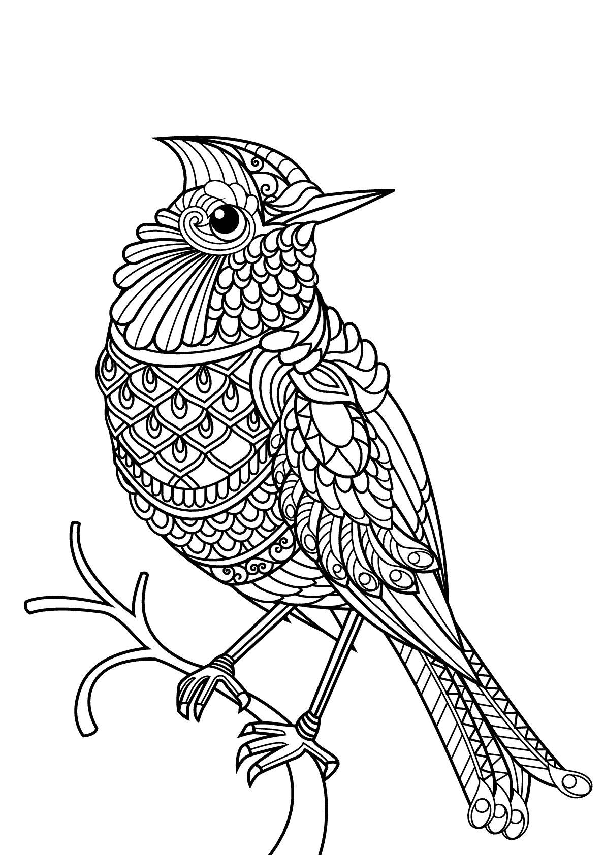 Coloriage Oiseau Mandala Difficile Adulte - Oiseau à imprimer
