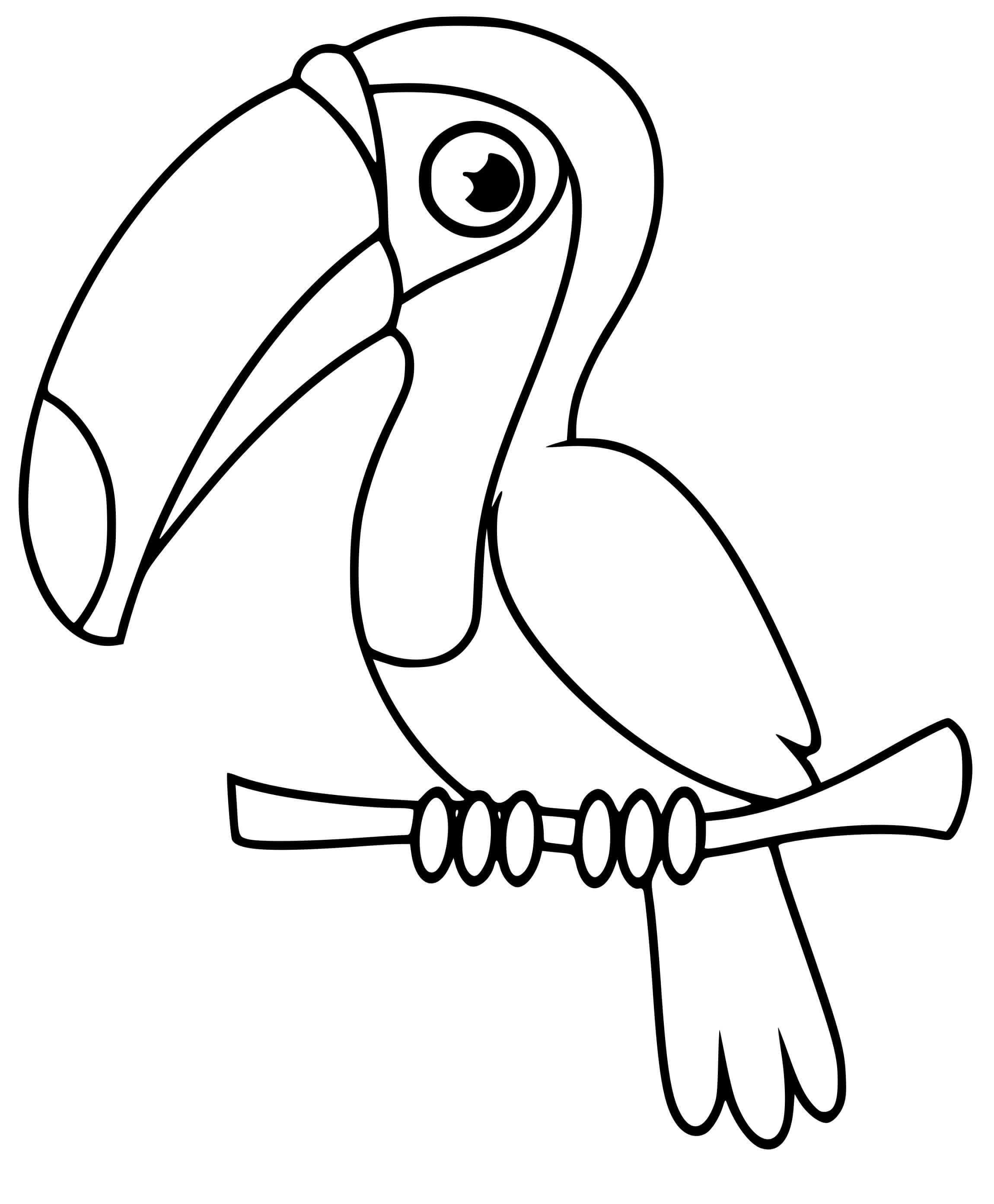 Coloriage Oiseau Toucan Toco Maternelle - Toucan à imprimer