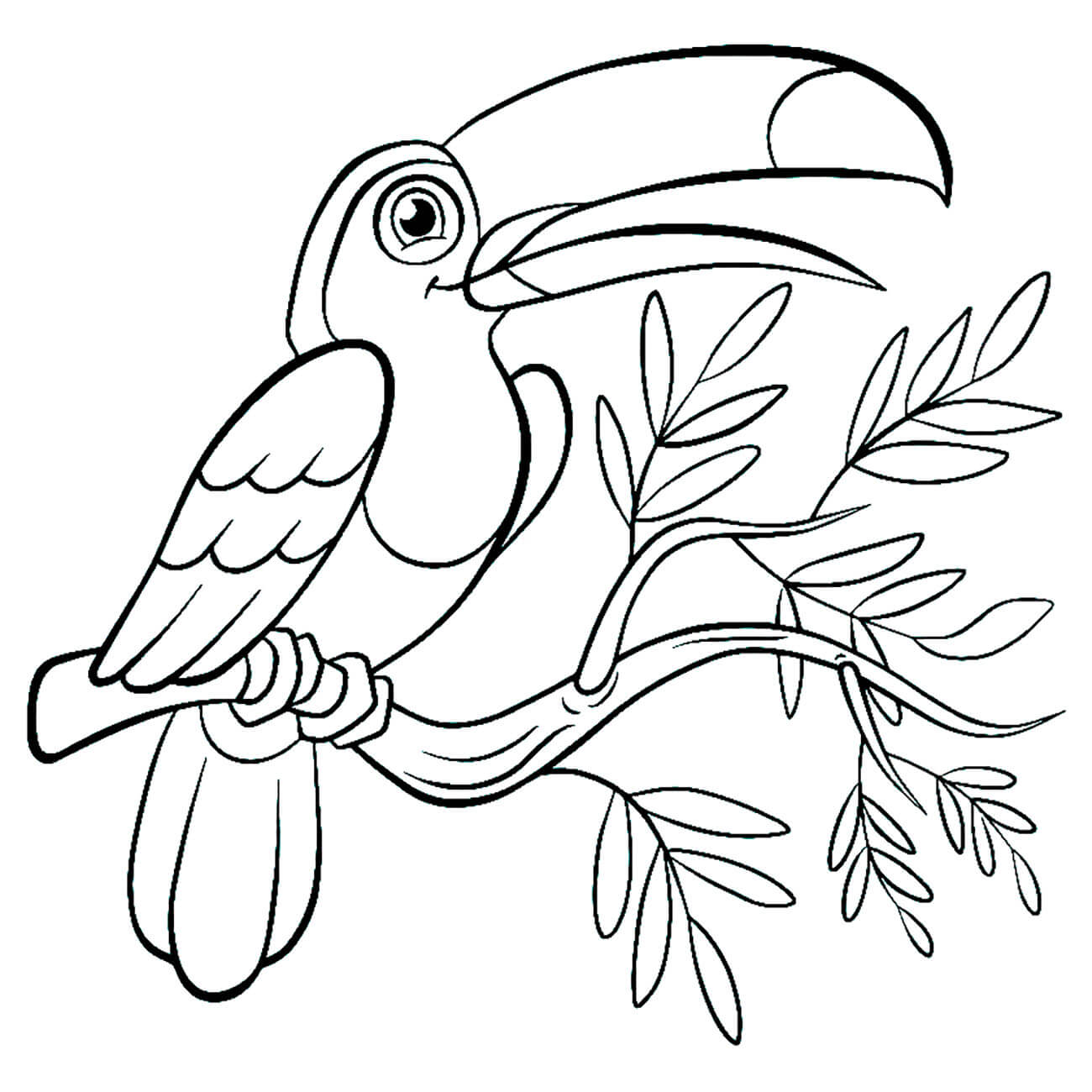 Coloriage Oiseau Toucan Toco - Toucan à imprimer