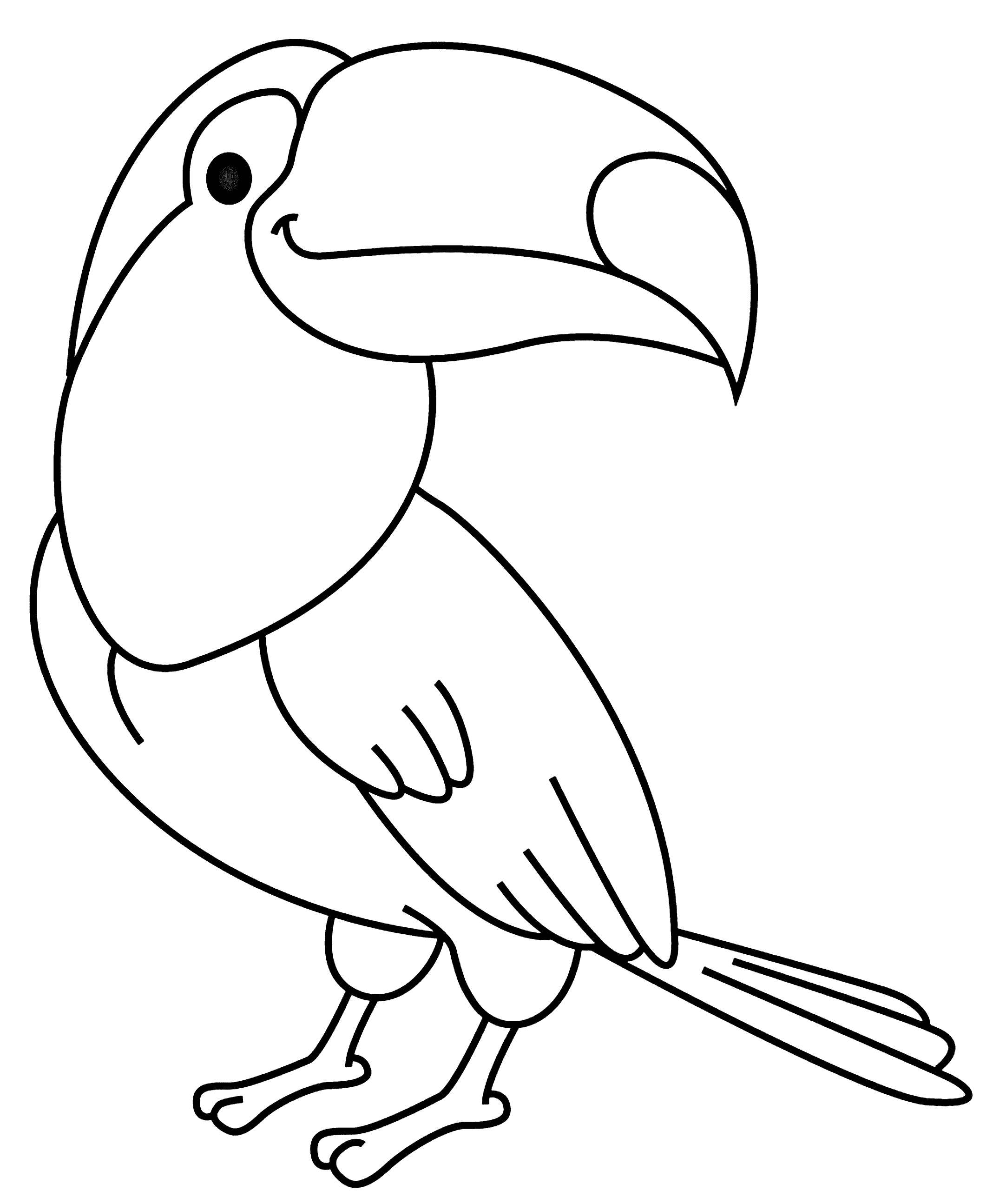 Coloriage Oiseau Toucan - Toucan à imprimer