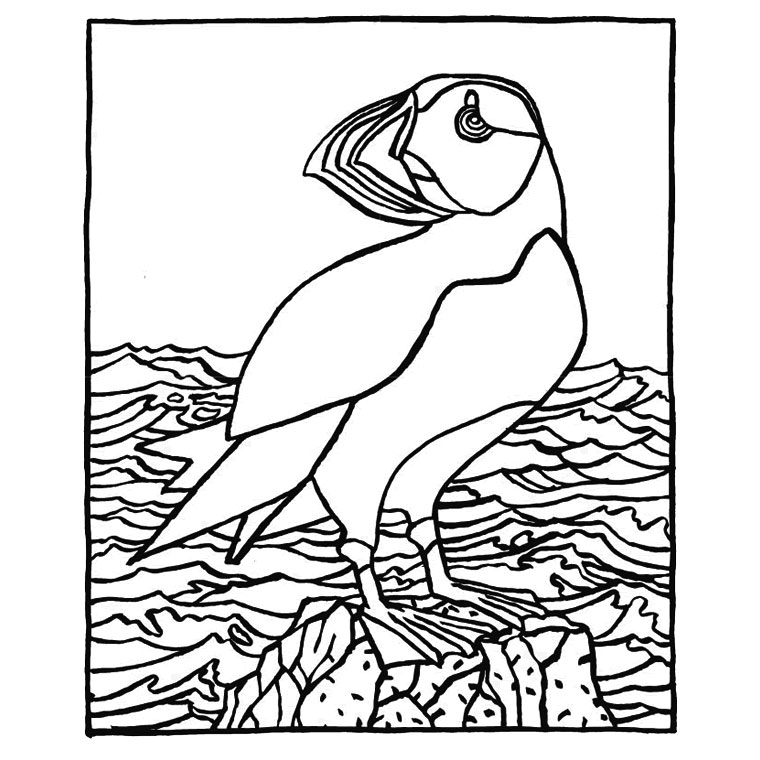 Coloriage Oiseaux Marins - Animaux à imprimer