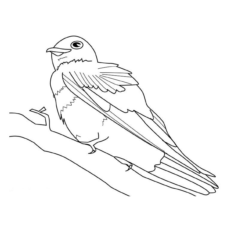 Coloriage Oiseaux Migrateurs - Animaux à imprimer