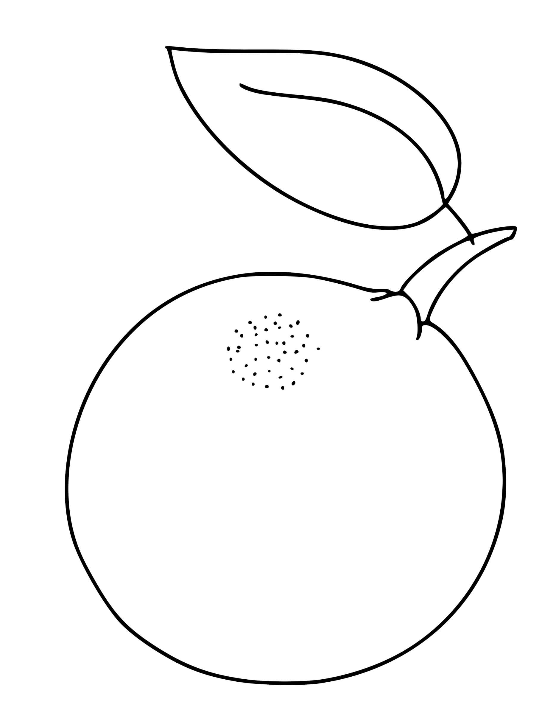 Coloriage Orange - Maternelle à imprimer