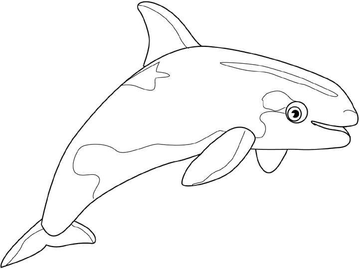 Coloriage Orque - Animaux à imprimer