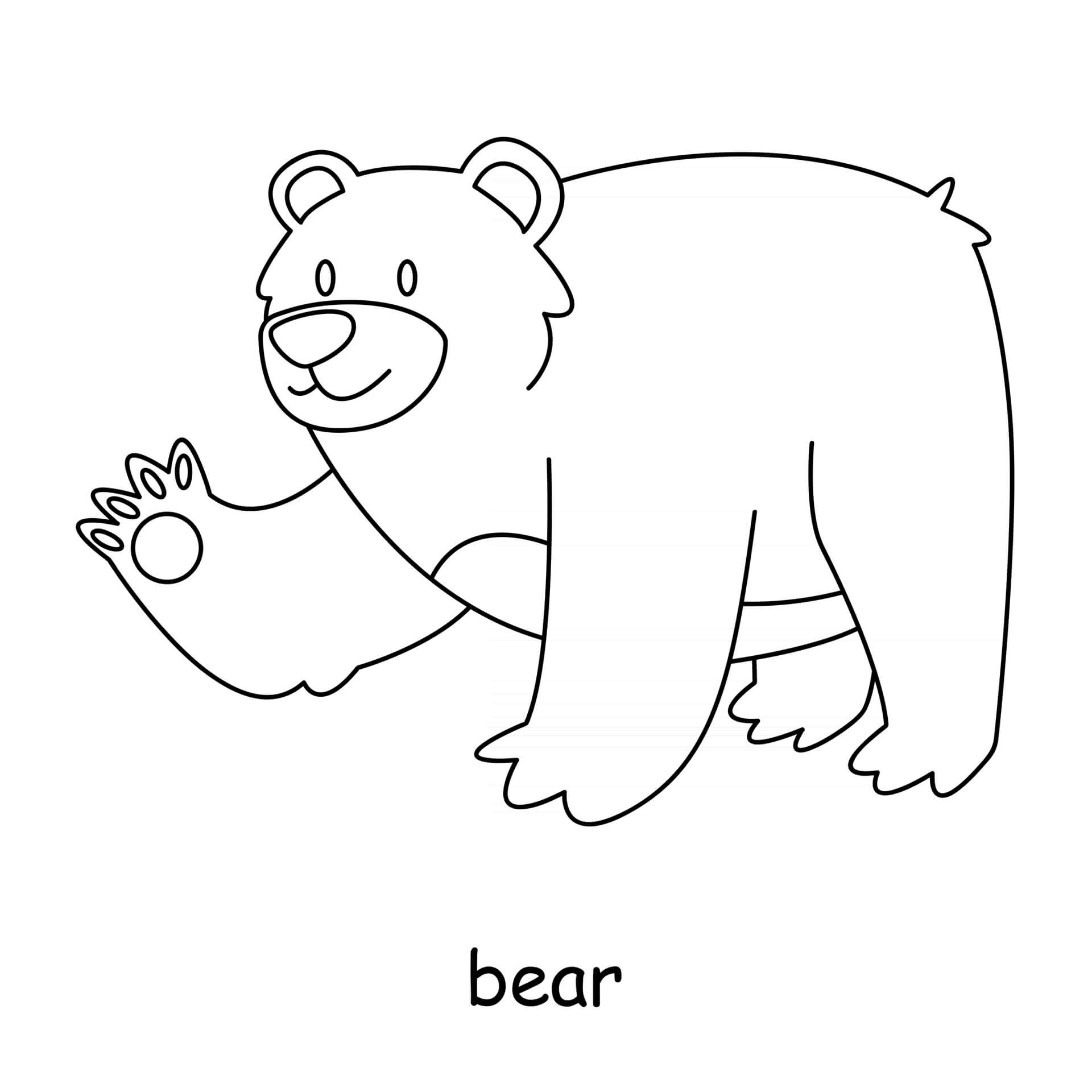 Coloriage Ours Blanc - Animal à imprimer