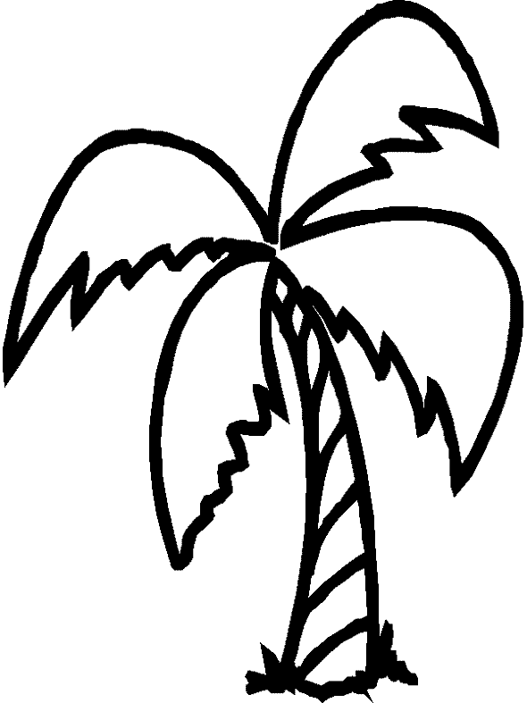 Coloriage Palmier Avec 4 Branches - Arbre à imprimer