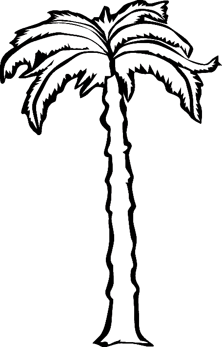 Coloriage Palmier Avec Un Long Tronc - Arbre à imprimer