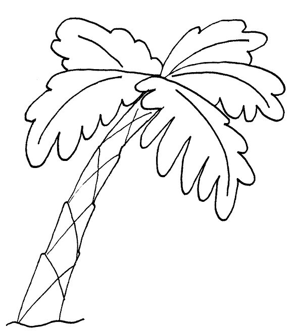 Coloriage Palmier De Travers - Arbre à imprimer