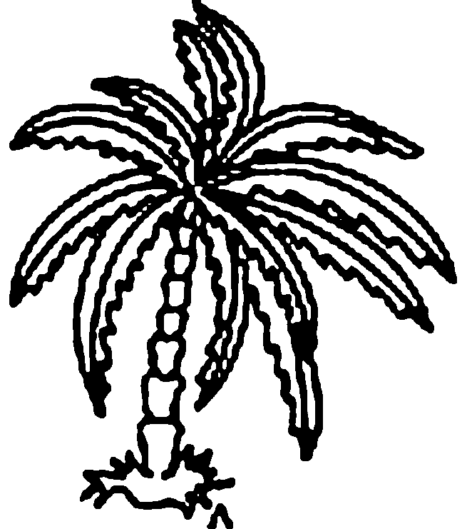 Coloriage Palmier - Arbre à imprimer