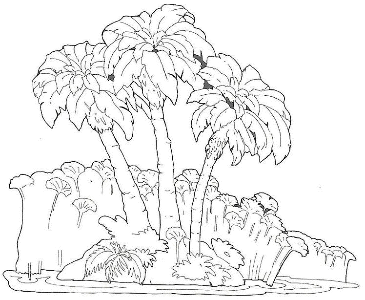 Coloriage Palmiers - Arbre à imprimer