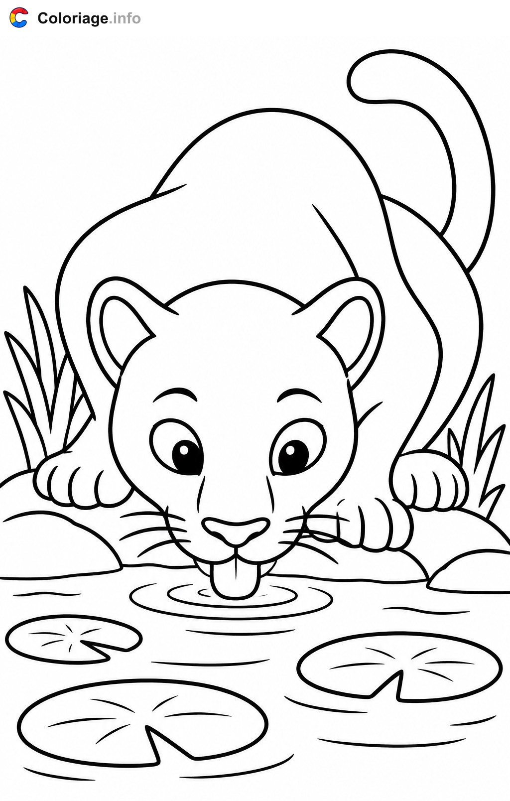 Schwarzer Panther trinkt am Fluss – Ausmalbilder — Ausmalbild zum