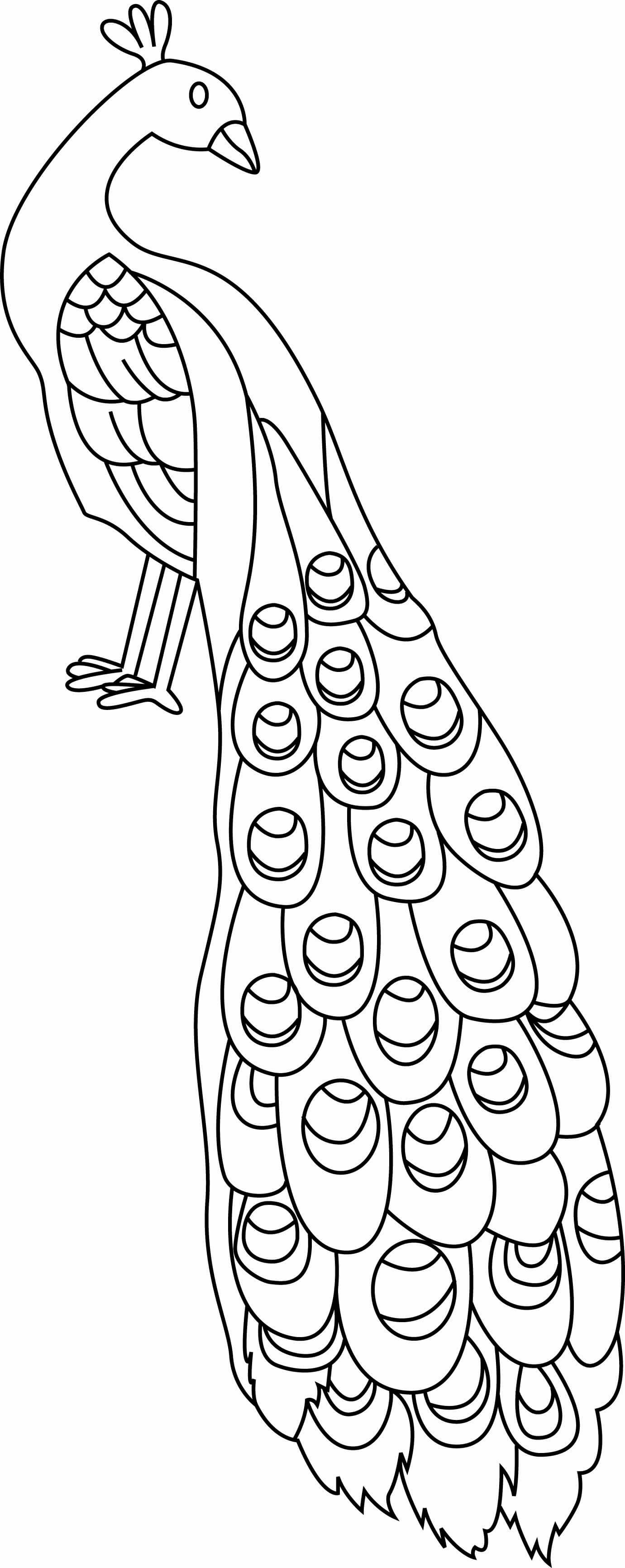Coloriage Paon Facile Oiseau - Paon à imprimer