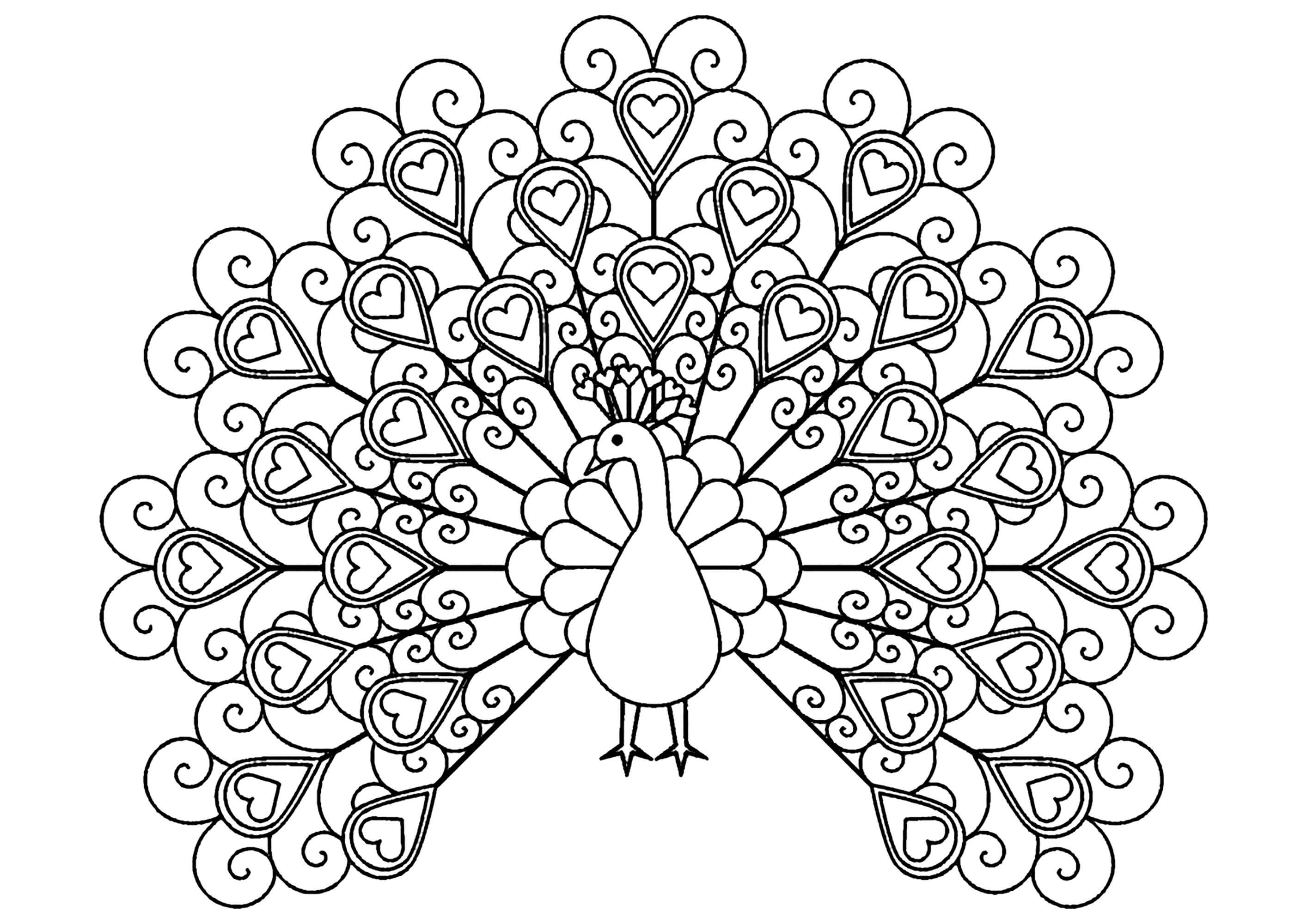 Coloriage Paon Oiseau Forme De Cœurs - Paon à imprimer