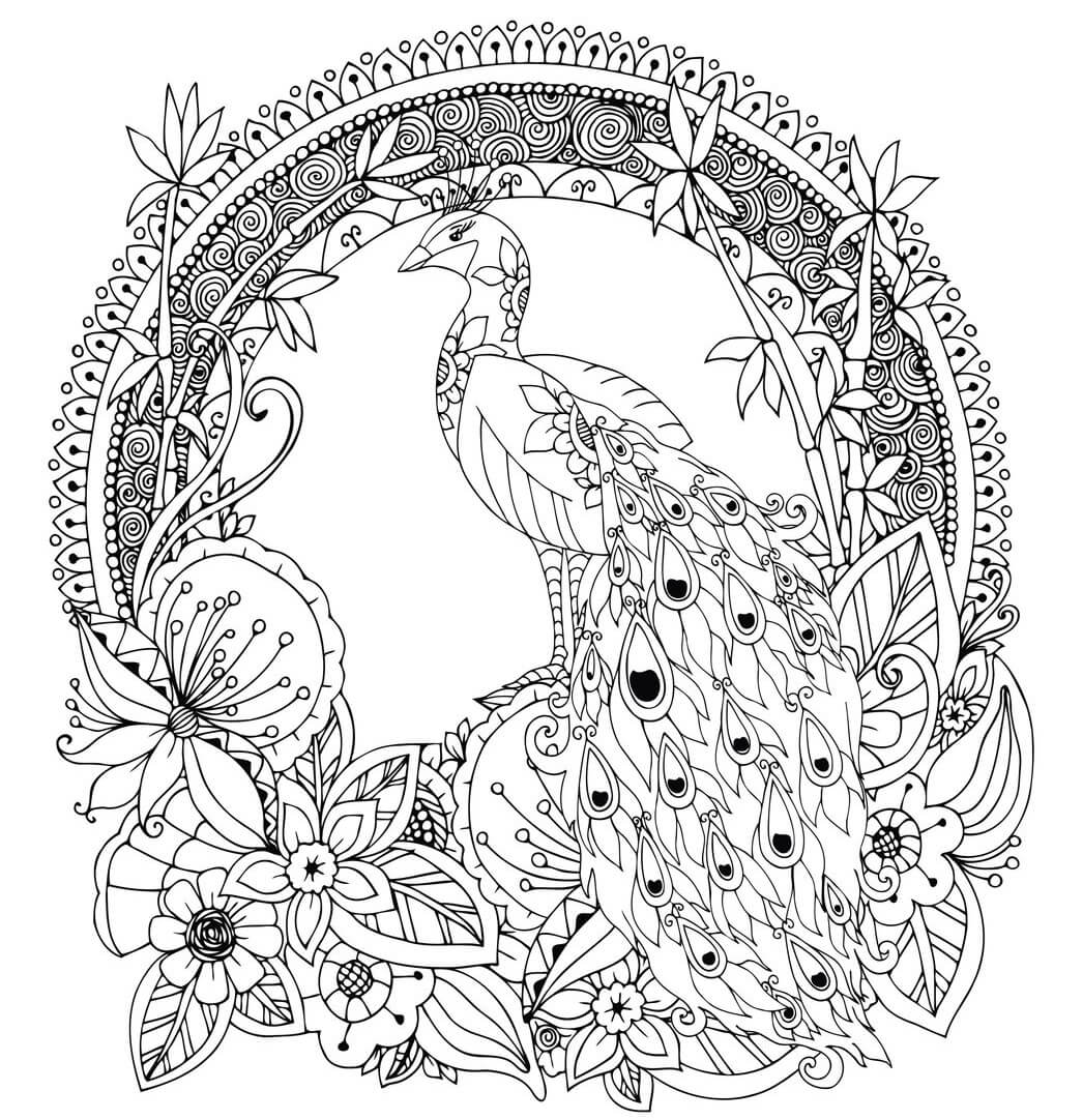 Coloriage Paon Oiseau Galliforme - Paon à imprimer