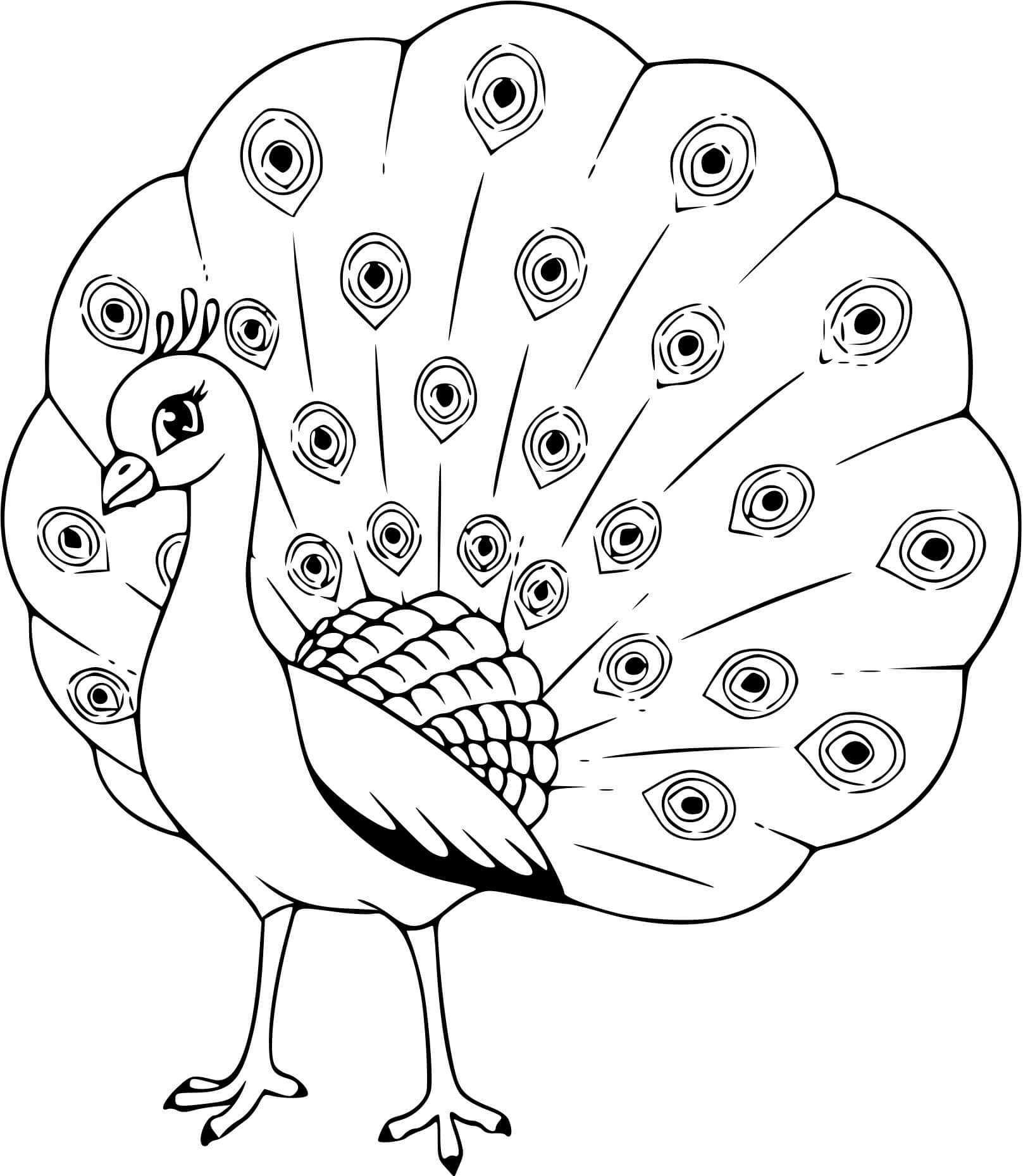 Coloriage Paon Pour Enfant Oiseau - Paon à imprimer
