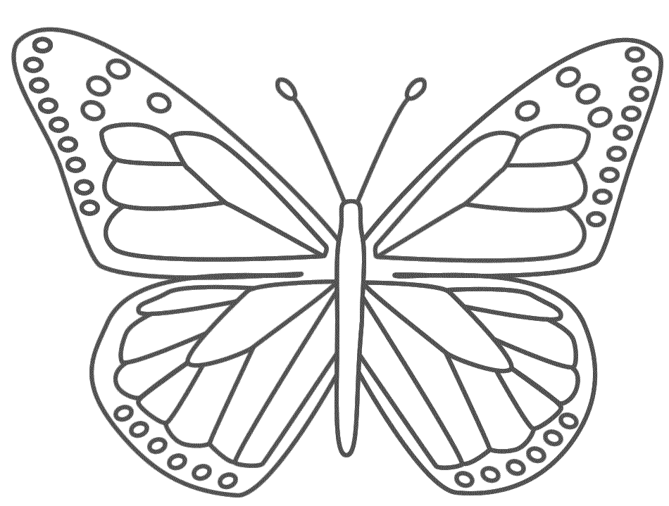 Coloriage Papillon élégant avec motifs symétriques - Papillon à imprimer