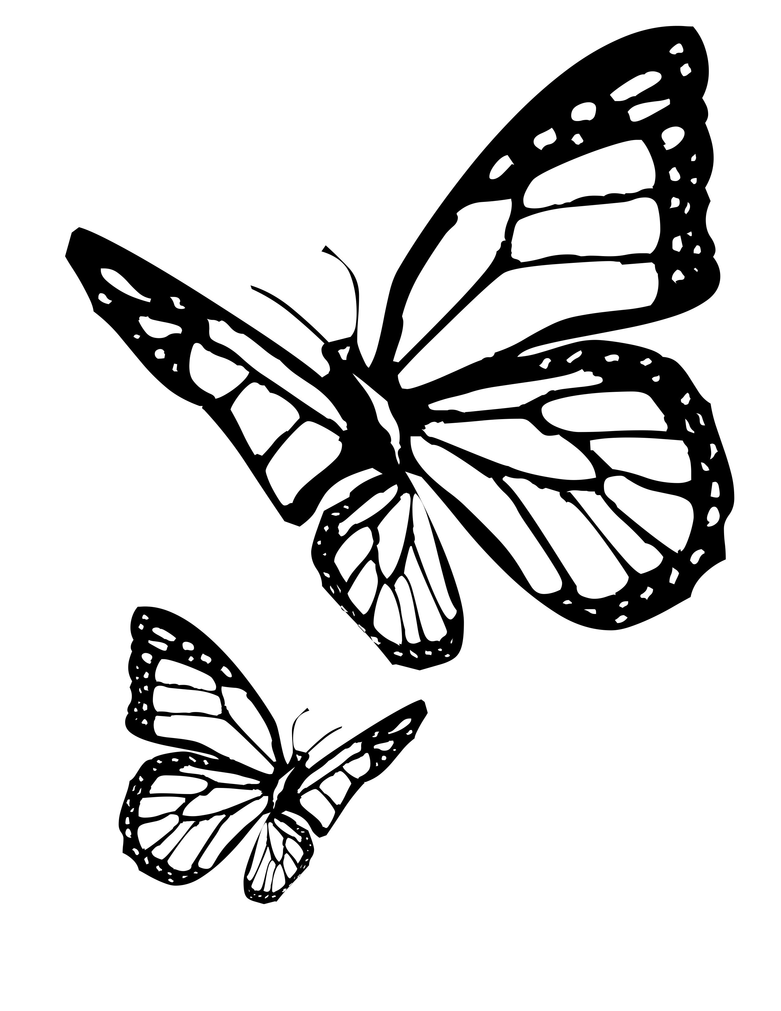 Coloriage Papillon gracieux en vol libre - Papillon à imprimer