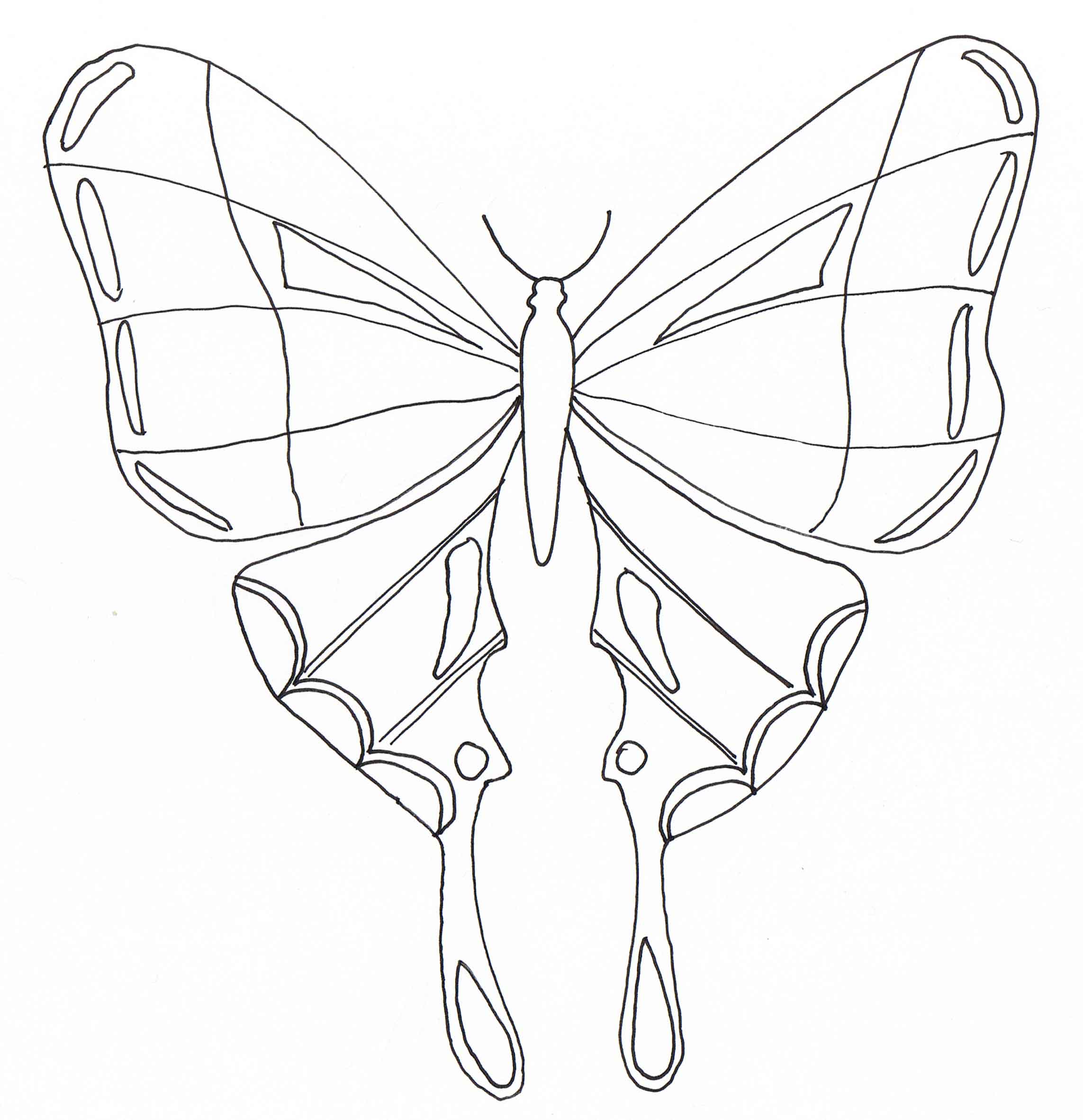Coloriage Papillon gracieux en vol parmi les fleurs - Papillon à imprimer