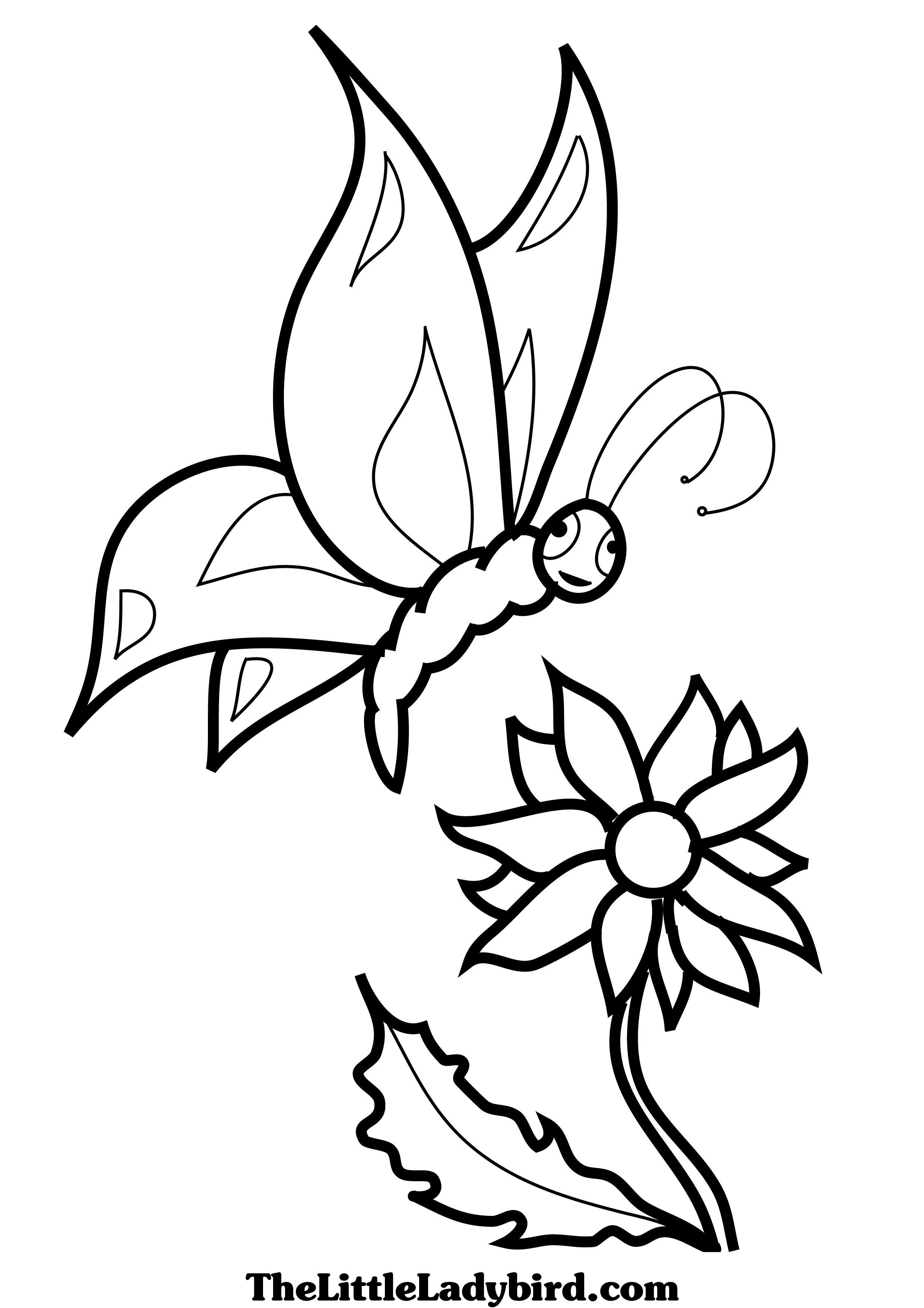 Coloriage Papillon aux ailes ornementées et symétriques - Papillon à imprimer