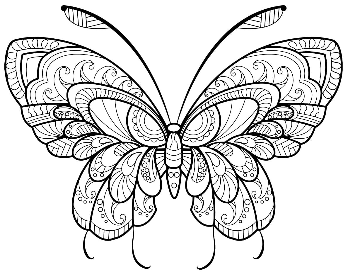 Coloriage Papillon Adulte Jolis Motifs 11 Min - Adulte papillon à imprimer