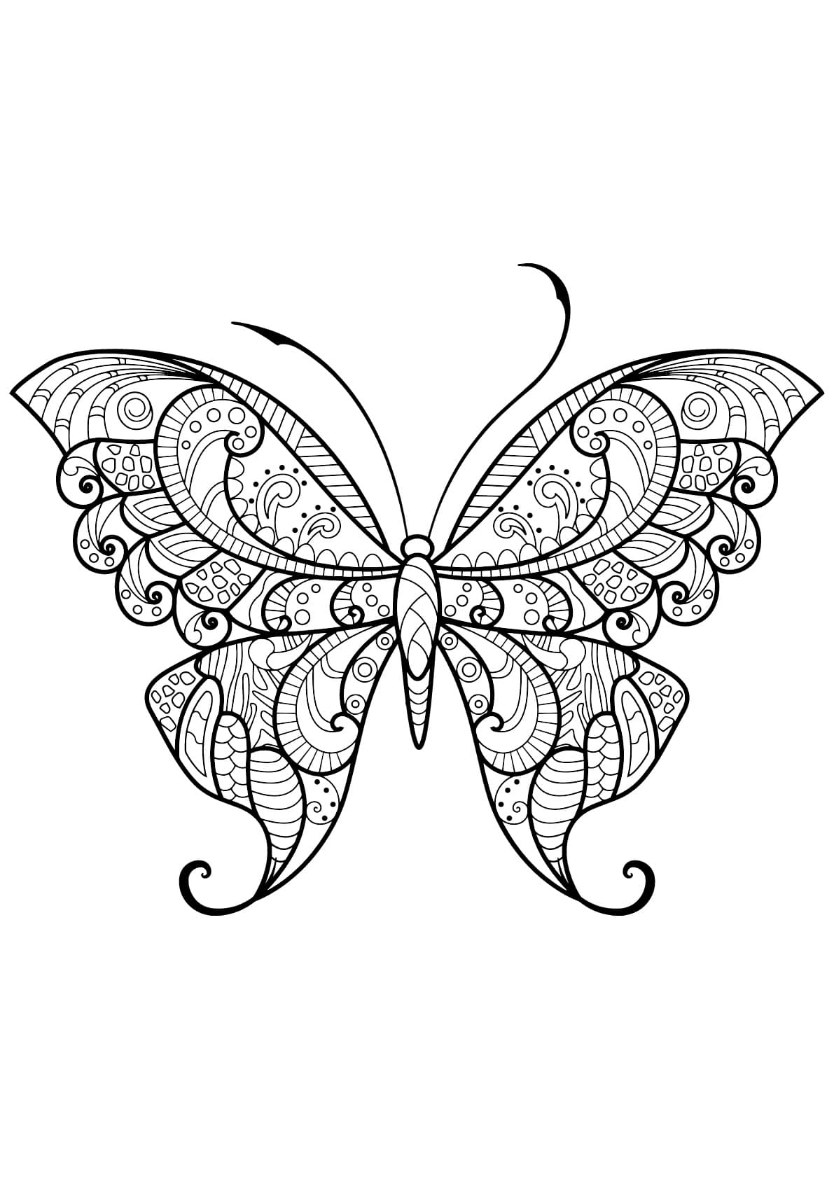 Coloriage Papillon Adulte Jolis Motifs 12 Min - Adulte papillon à imprimer