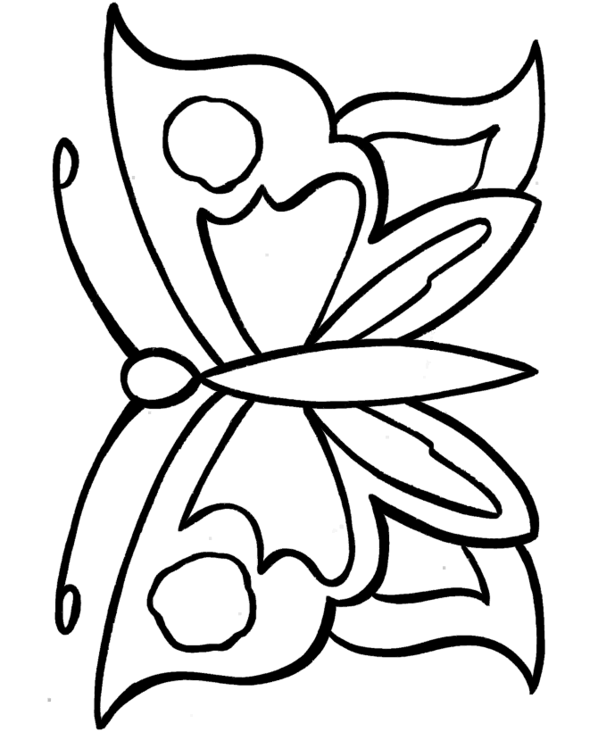 Coloriage Papillon gracieux aux contours arrondis - Facile à imprimer