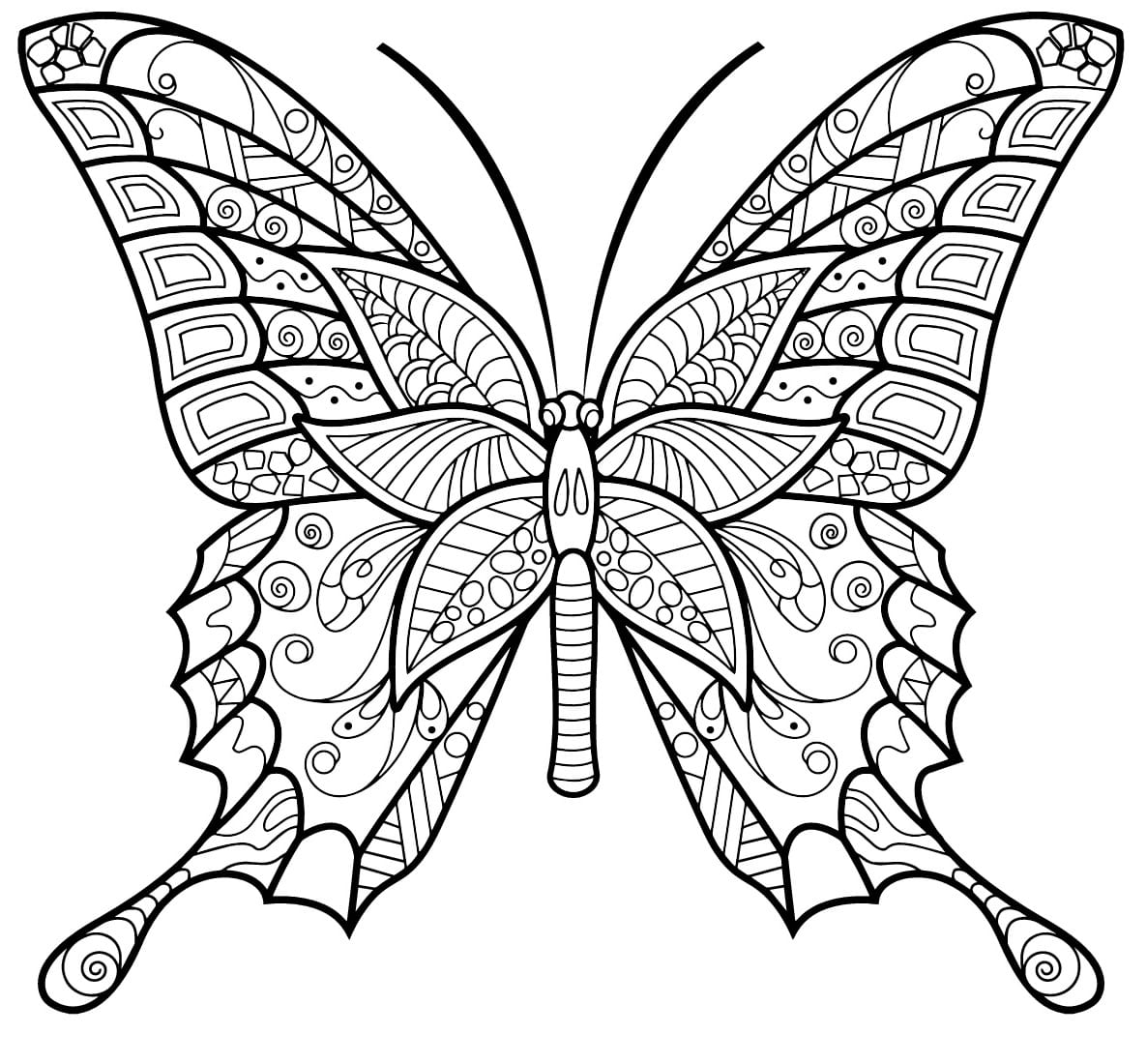 Coloriage Papillon Insecte Jolis Motifs 6 Min - Adulte papillon à imprimer