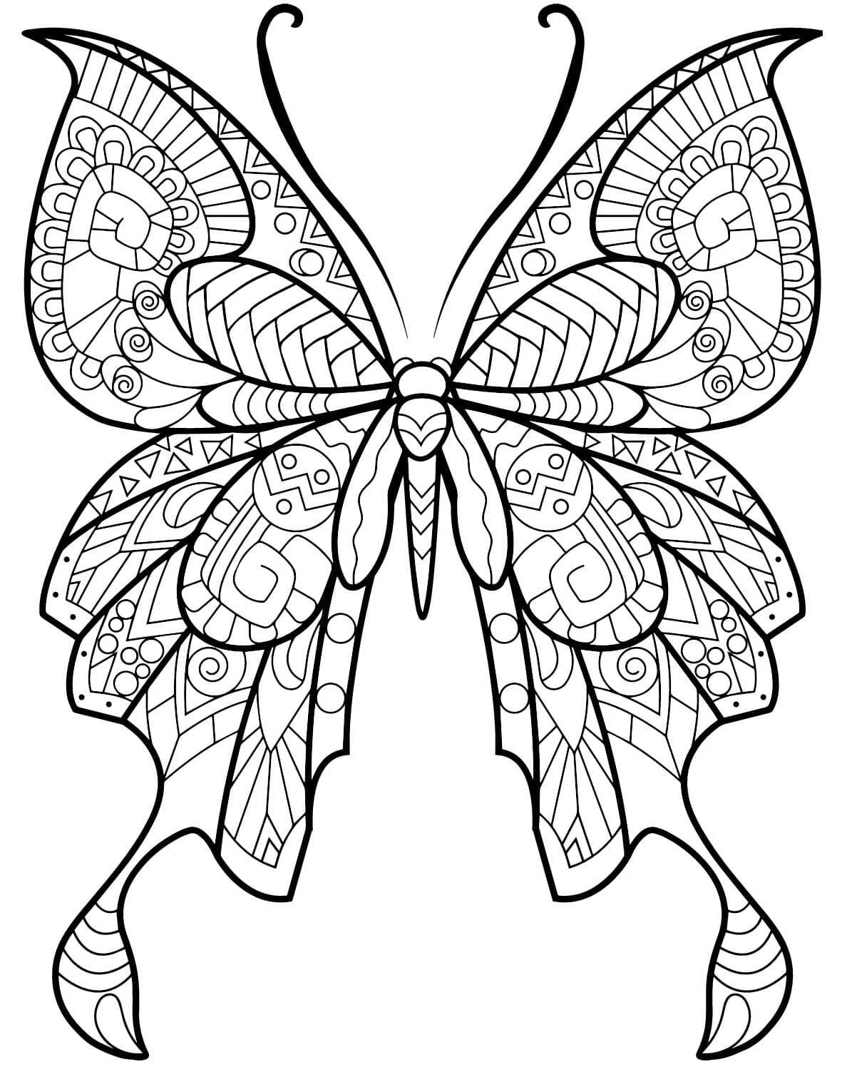 Coloriage Papillon Insecte Jolis Motifs 8 Min - Adulte papillon à imprimer