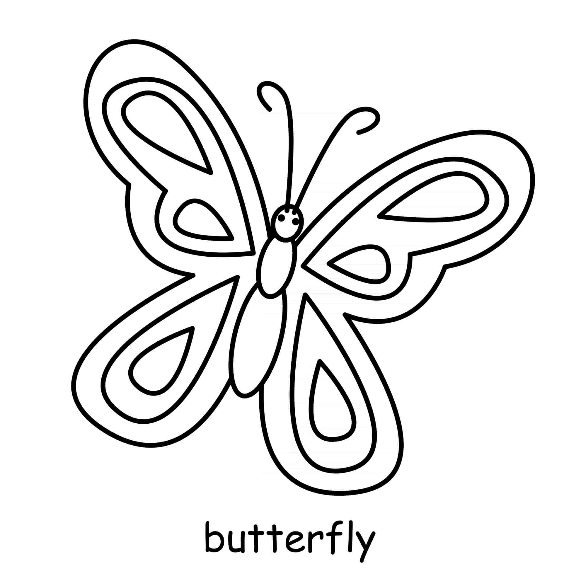 Coloriage Papillon Insecte - Animal à imprimer
