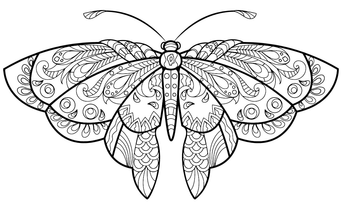Coloriage Papillon Jolis Motifs 1 Min - Adulte papillon à imprimer