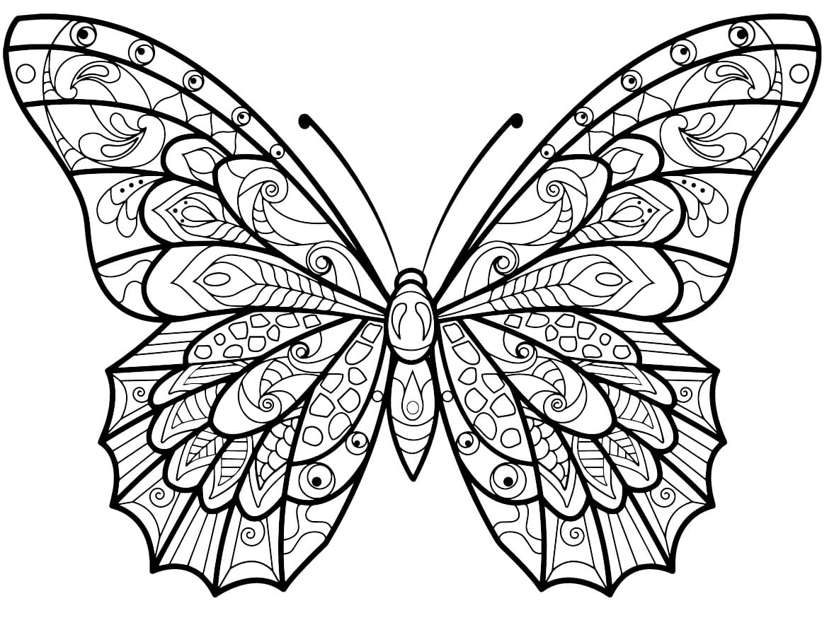 Coloriage Papillon Jolis Motifs 3 Min - Adulte papillon à imprimer