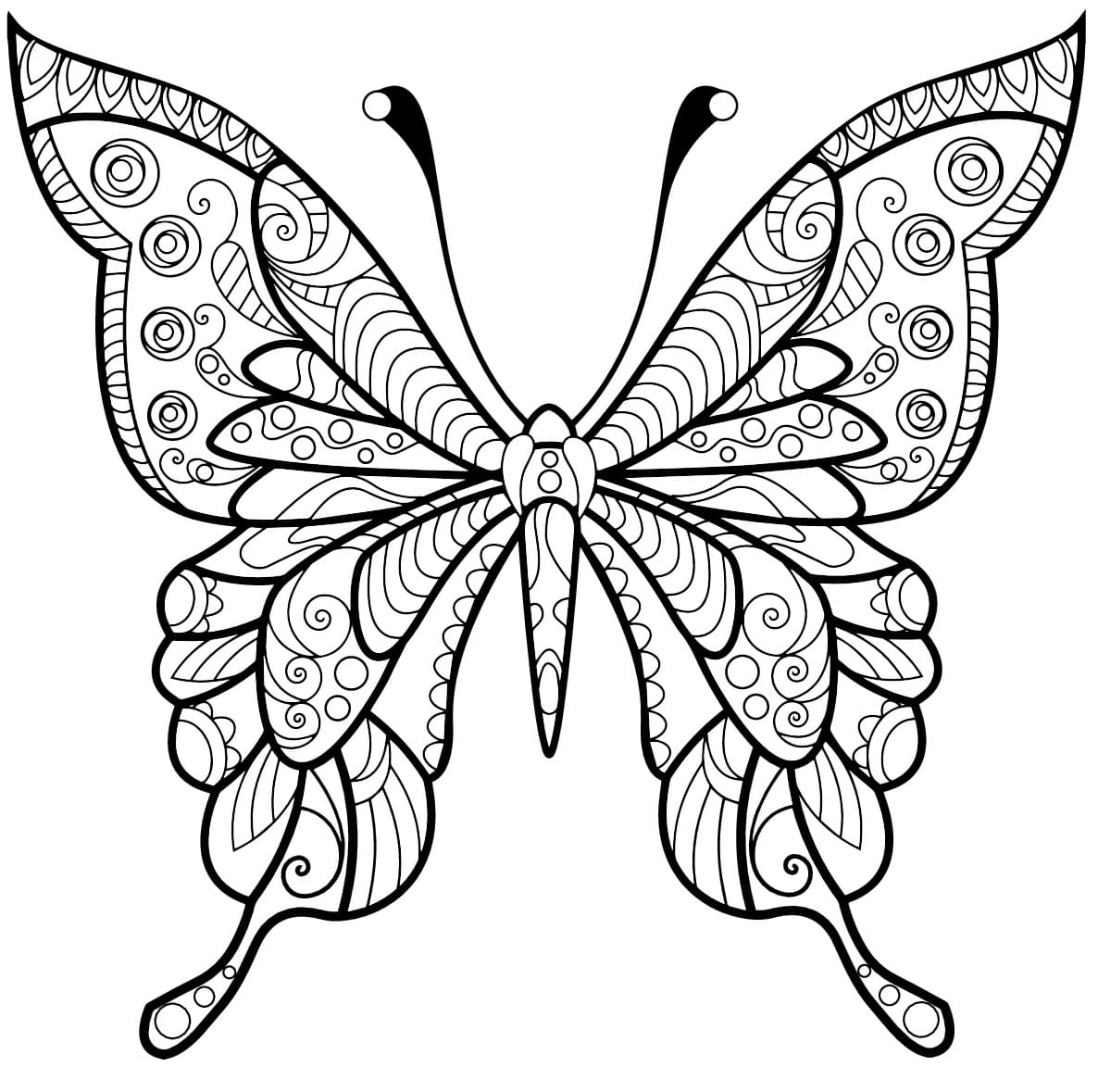 Coloriage Papillon Jolis Motifs 4 Min - Adulte papillon à imprimer