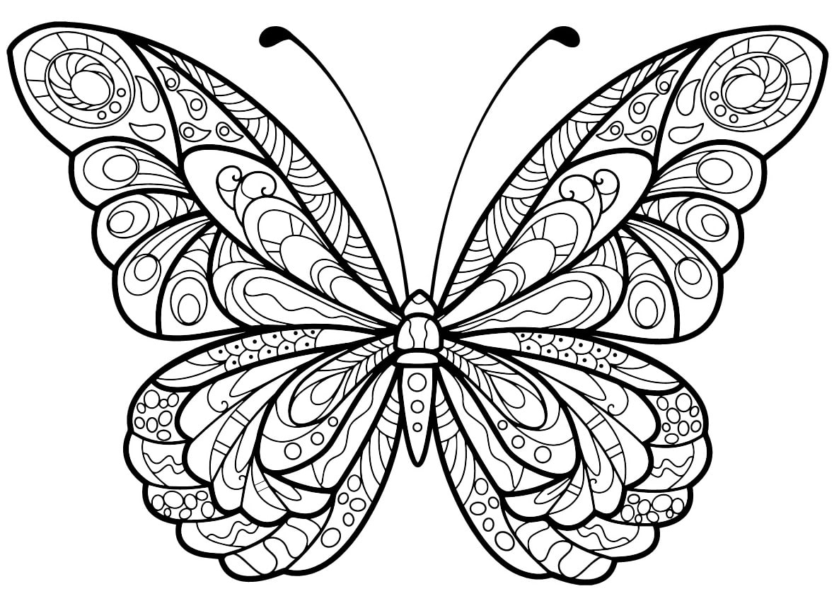 Coloriage Papillon Jolis Motifs 5 Min - Adulte papillon à imprimer