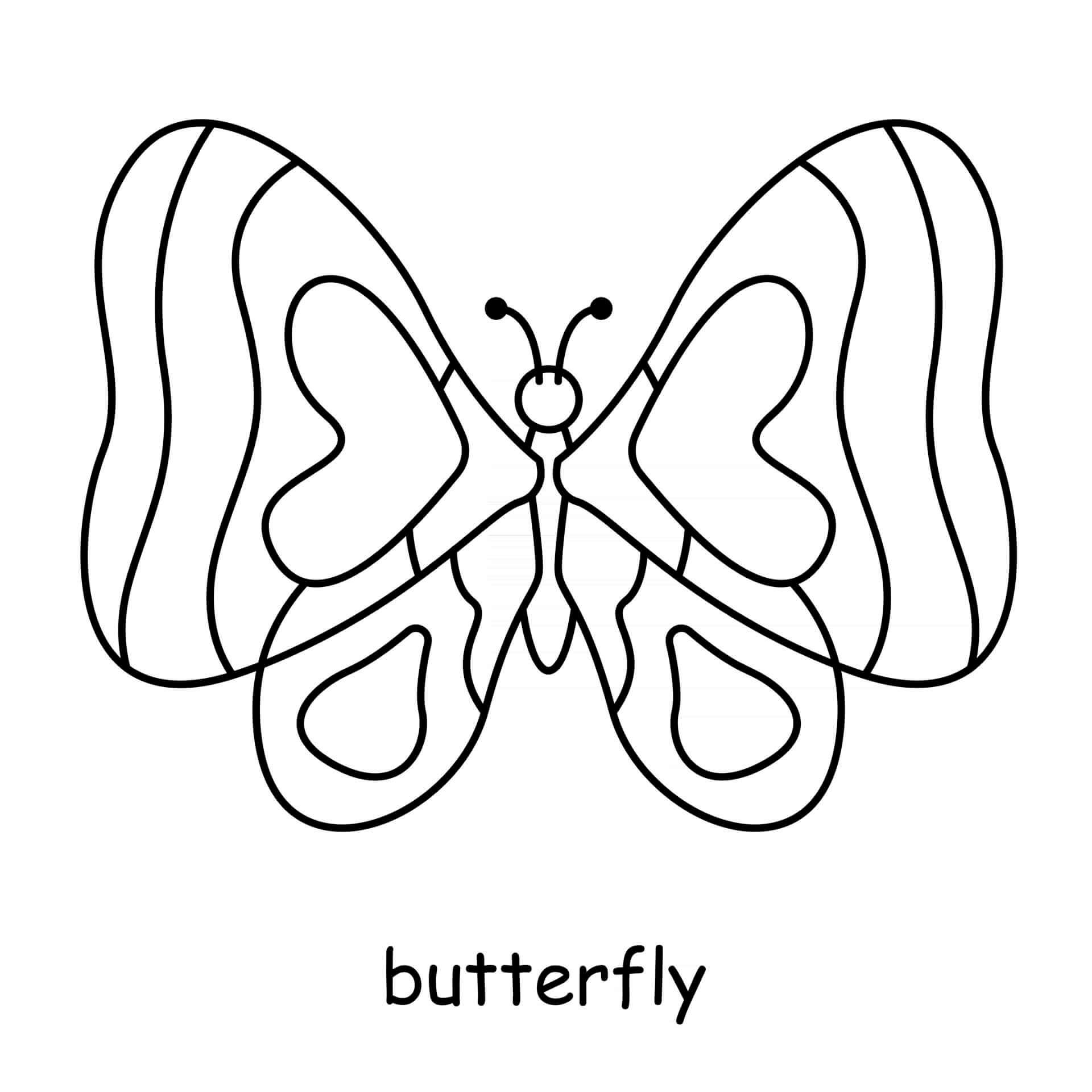 Coloriage Papillon Simple - Animal à imprimer
