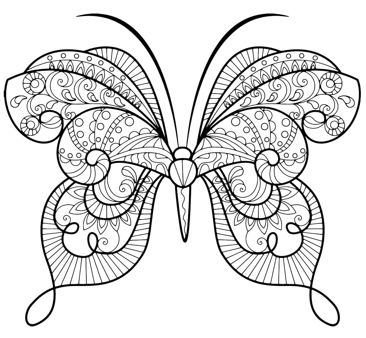 Coloriage Papillon Zentangle Jolis Motifs 15 Min - Adulte papillon à imprimer