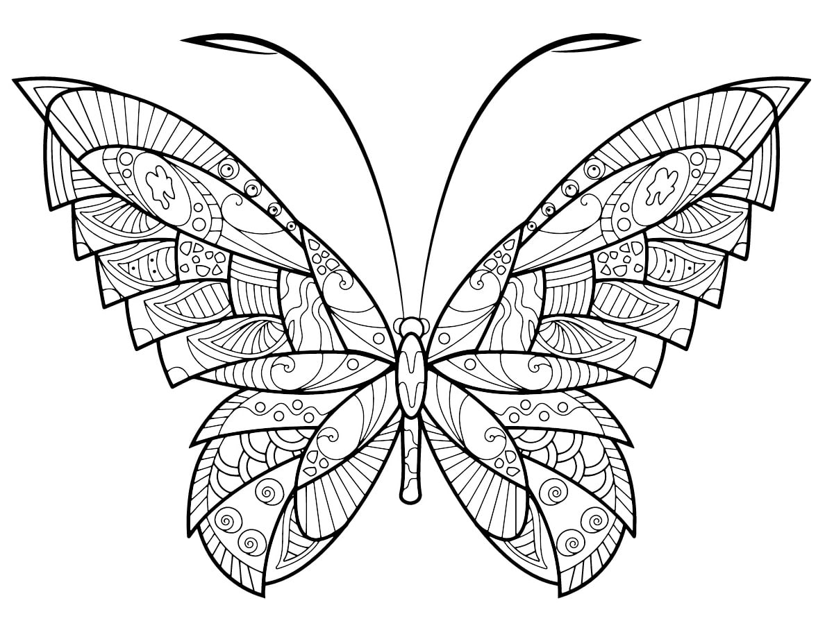 Coloriage Papillon Zentangle Jolis Motifs 17 Min - Adulte papillon à imprimer