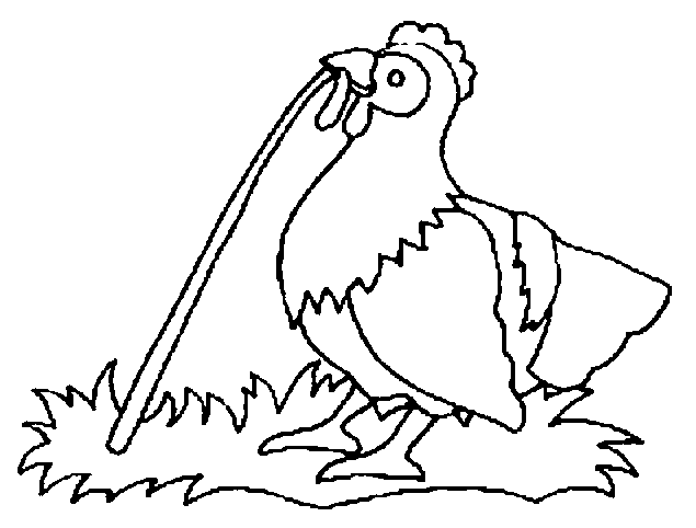 Coloriage Poule
