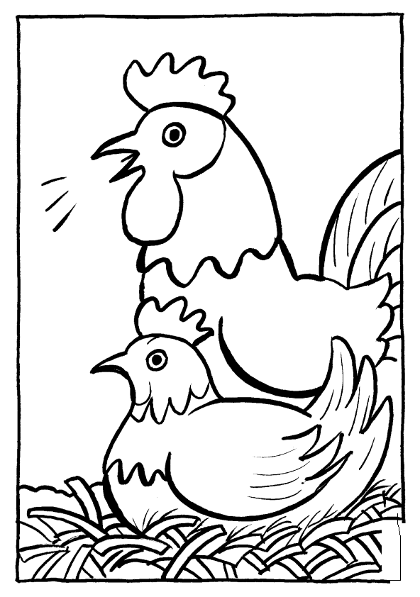 Coloriage Pâques Un Coq Et Une Poule - Poule à imprimer