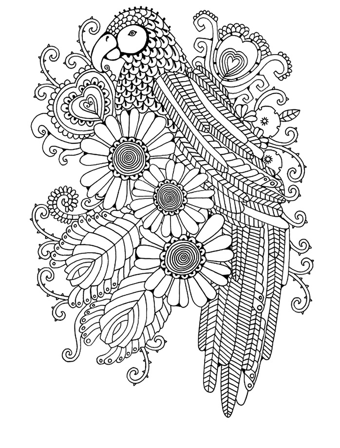 Coloriage Peroquet Fleurs Cœurs Roses Adulte - Adulte animaux à imprimer