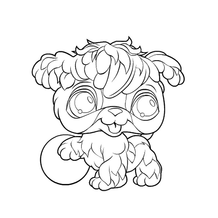 Coloriage Pet Shop Lion - Animaux à imprimer