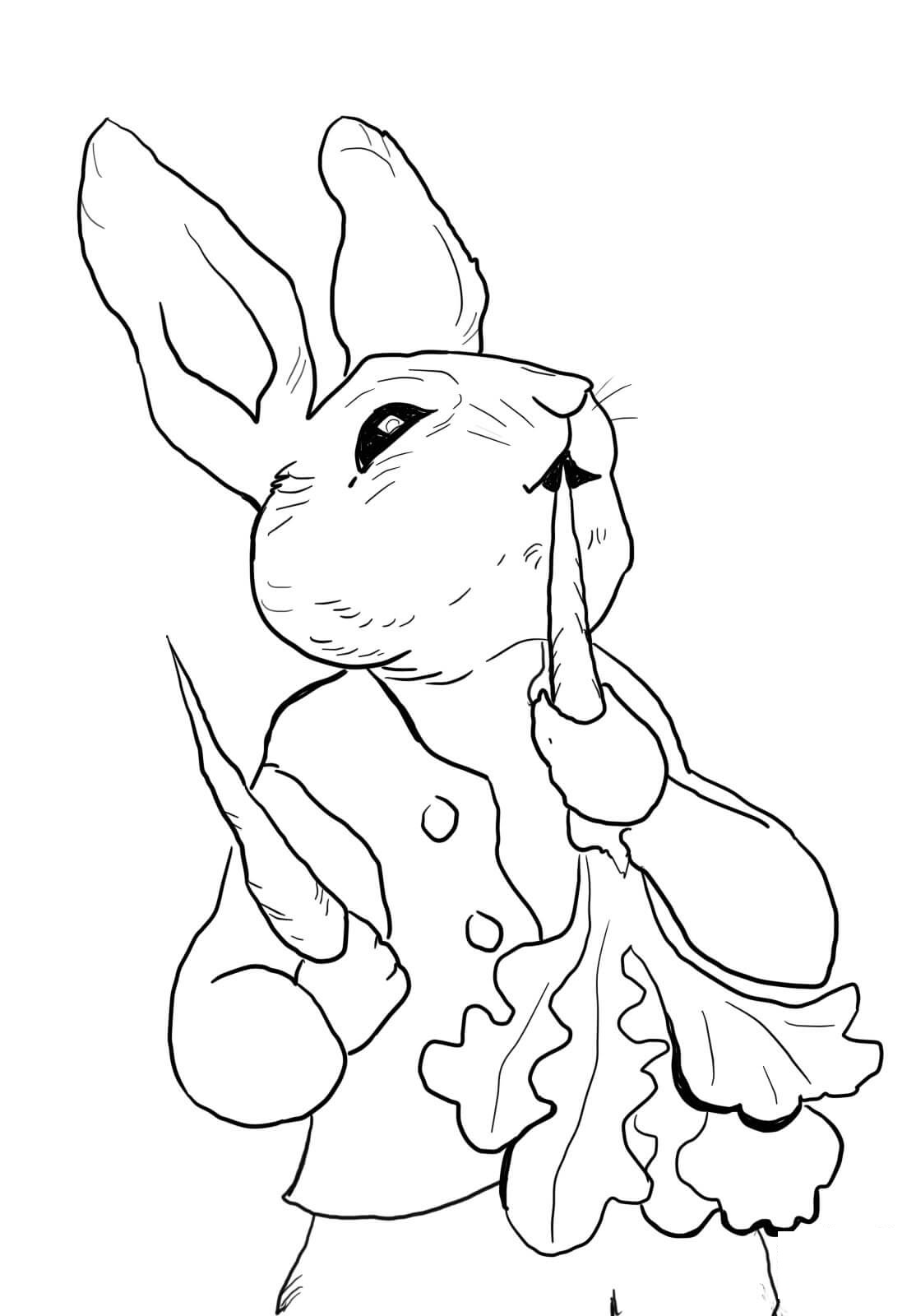 Coloriage Pierre Lapin Mange des Radis - Pierre lapin à imprimer