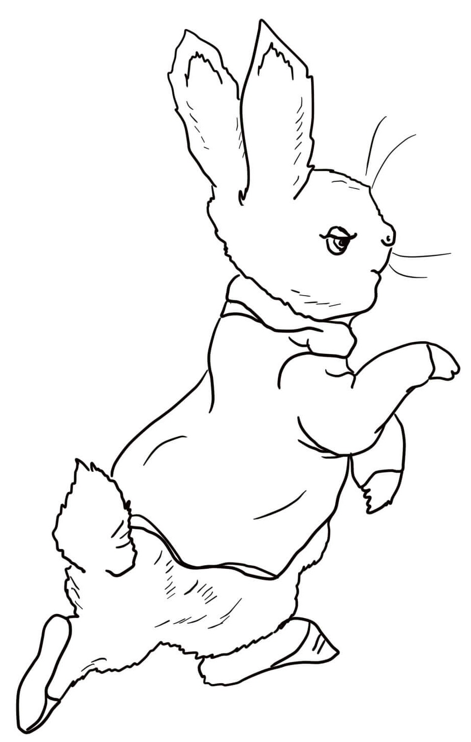 Coloriage Pierre Lapin Entre au Jardin - Pierre lapin à imprimer