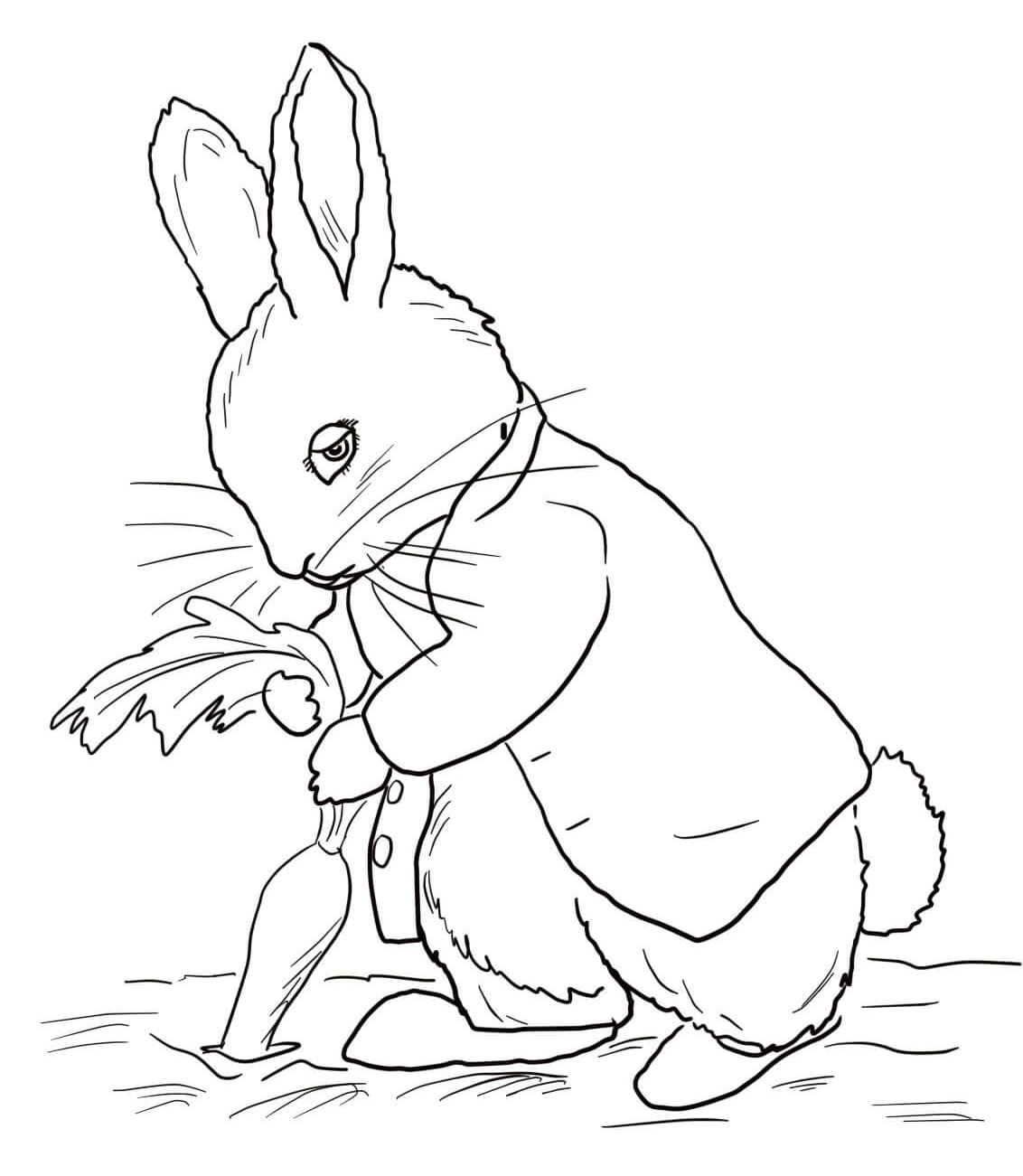 Coloriage Peter Rabbit Stealing Carrots - Pierre lapin à imprimer