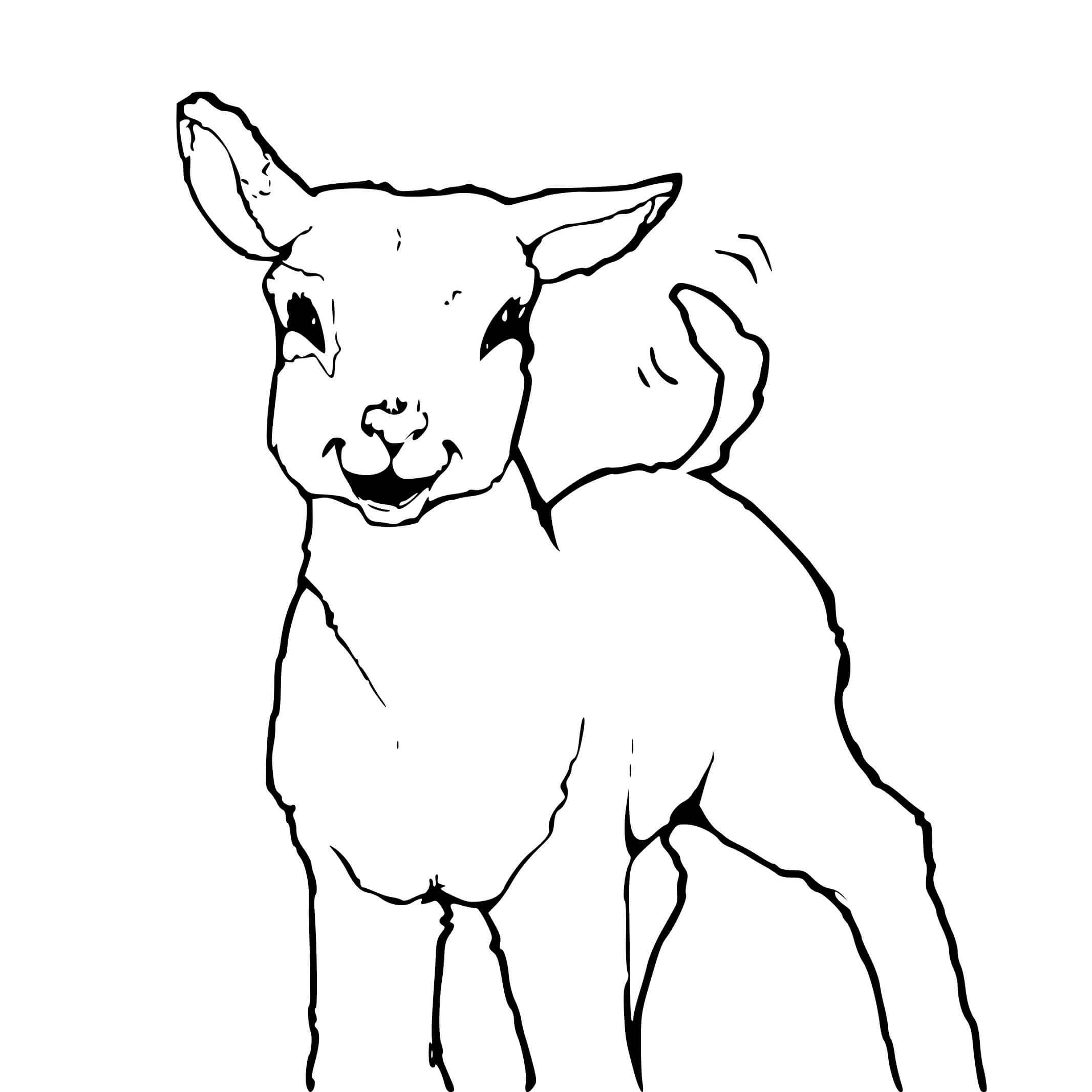 Coloriage Petit Agneau Petit De La Brebis - Mouton à imprimer