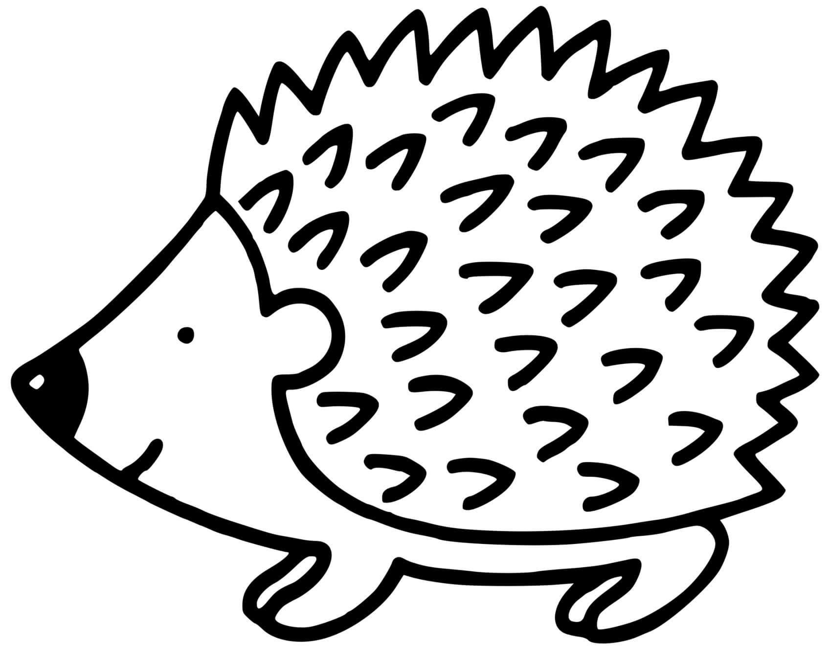 Coloriage Petit Hérisson Porc Epics - Hérisson à imprimer