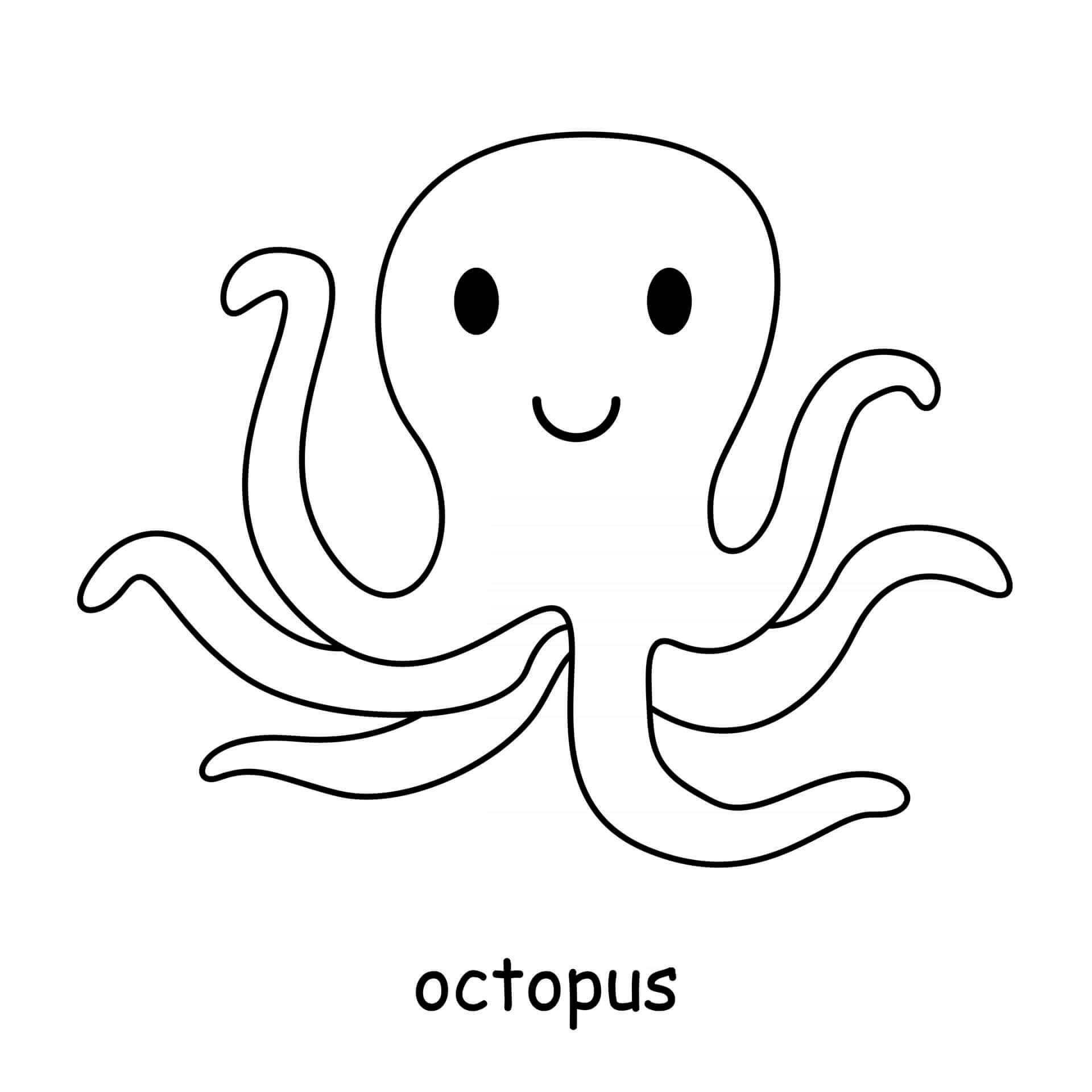 Coloriage Pieuvre Octopodes Du Pacifique - Animal à imprimer