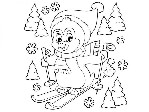 Coloriage Pingouin Fait Du Ski - Pingouin à imprimer