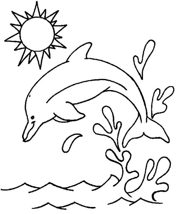 Coloriage Plogeon Dauphin - Animaux à imprimer
