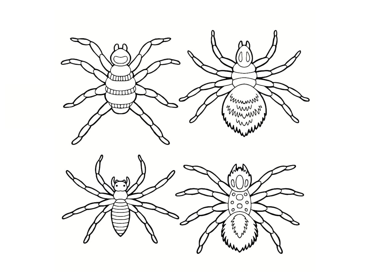 Coloriage Plusieurs Araignées Differentes - Araignée à imprimer